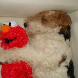 heerlijk pitten met een knuffel van Fenna!!