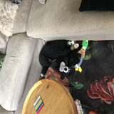 Foto van Cindy en Berner vriend Joep