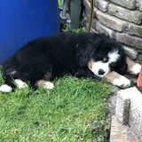 Foto van Cindy en Berner vriend Joep