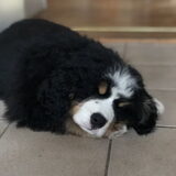 Foto van Cindy en Berner vriend Joep
