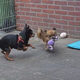 Samen spelen.
