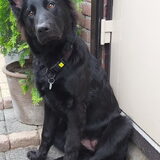 Foto van Tiamo  ^_^  Dyuna