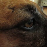 Foto van yooop