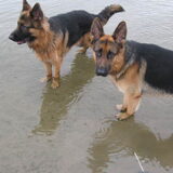 Foto van Rebecca