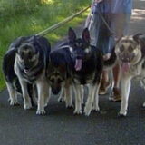 Foto van Heleen