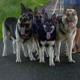 Foto van Heleen