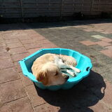 Foto van Max