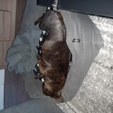 Foto van Elly