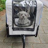 Foto van Lucia, Lizzy & Ziva