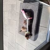 Foto van Elly