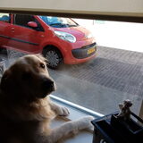 Foto van Max