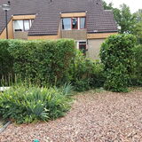 Foto van Ellen, vrouwtje van Noortje