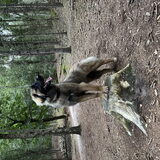 Foto van Britt, Maui & Fanu ~