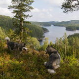 Foto van Alaska's Finest!