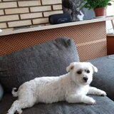 Foto van Lucia, Lizzy & Ziva