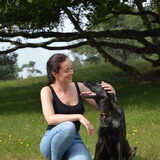 Foto van Dutchshepherdteam