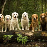 Foto van Suus