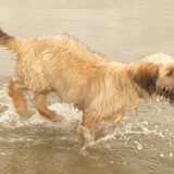 Foto van Heleen
