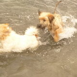 Foto van Heleen