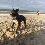 Foto van laura