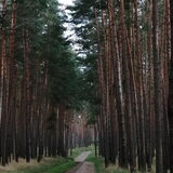 Foto van s@nt@