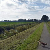 Tijdens een wandeling.
