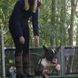 Foto van Hannah & Bink† en Beertje
