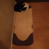 Foto van Bush dog