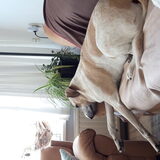 Foto van Annelies met  Sem
