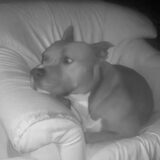 Foto van Eveline