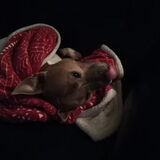 Foto van Eveline