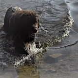 Foto van Jeanine :)