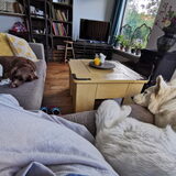Foto van Lineke & Saar(tje)