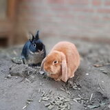 Foto van Naomi