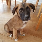 Foto van Cecile