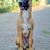 Foto van Cecile