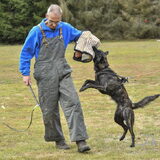 Foto van Dutchshepherdteam