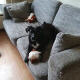Foto van Lucia, Lizzy & Ziva