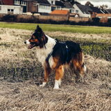 Foto van Britt, Maui & Fanu ~