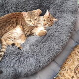 Foto van Jeanine :)