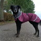Foto van Naomi