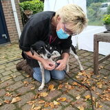 Foto van Ellen, vrouwtje van Noortje