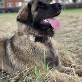 Foto van Britt, Maui & Fanu ~