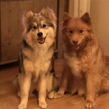Foto van Marijke - Aila, Dinja & Evi