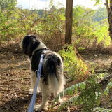 Een mooie wandeling.