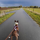 Foto van Hannah & Bink† en Beertje