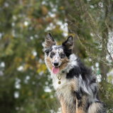 Foto van Naomi
