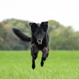 Foto van Naomi