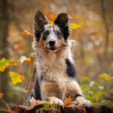 Foto van Naomi