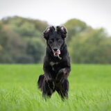 Foto van Naomi